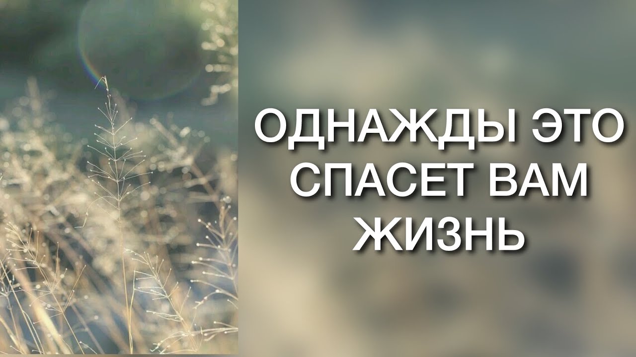 ОДНАЖДЫ ЭТО СПАСЕТ ВАМ ЖИЗНЬ