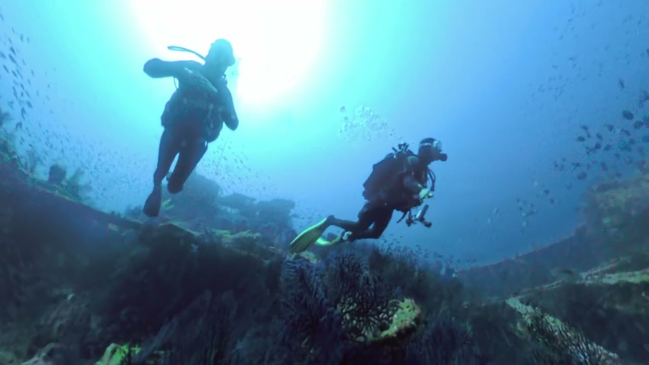 Donator 4 août 2025