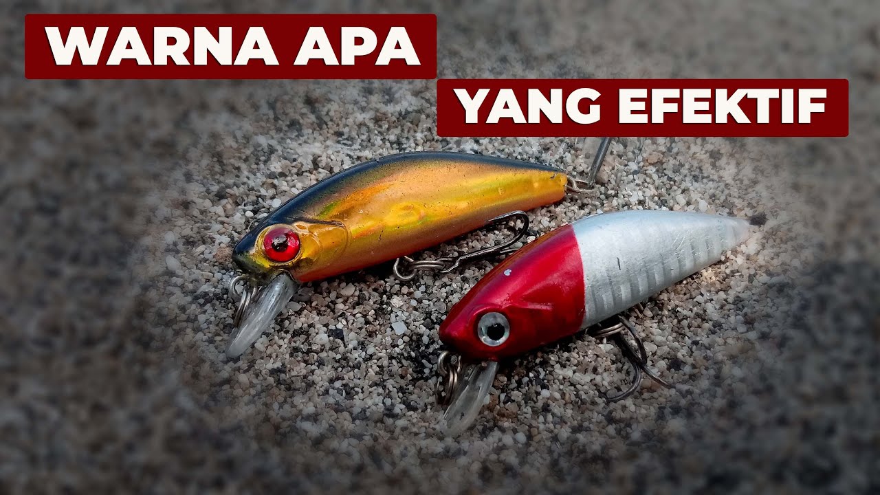 Minnow Murah Killer || Warna Apa Yang Paling Efektif