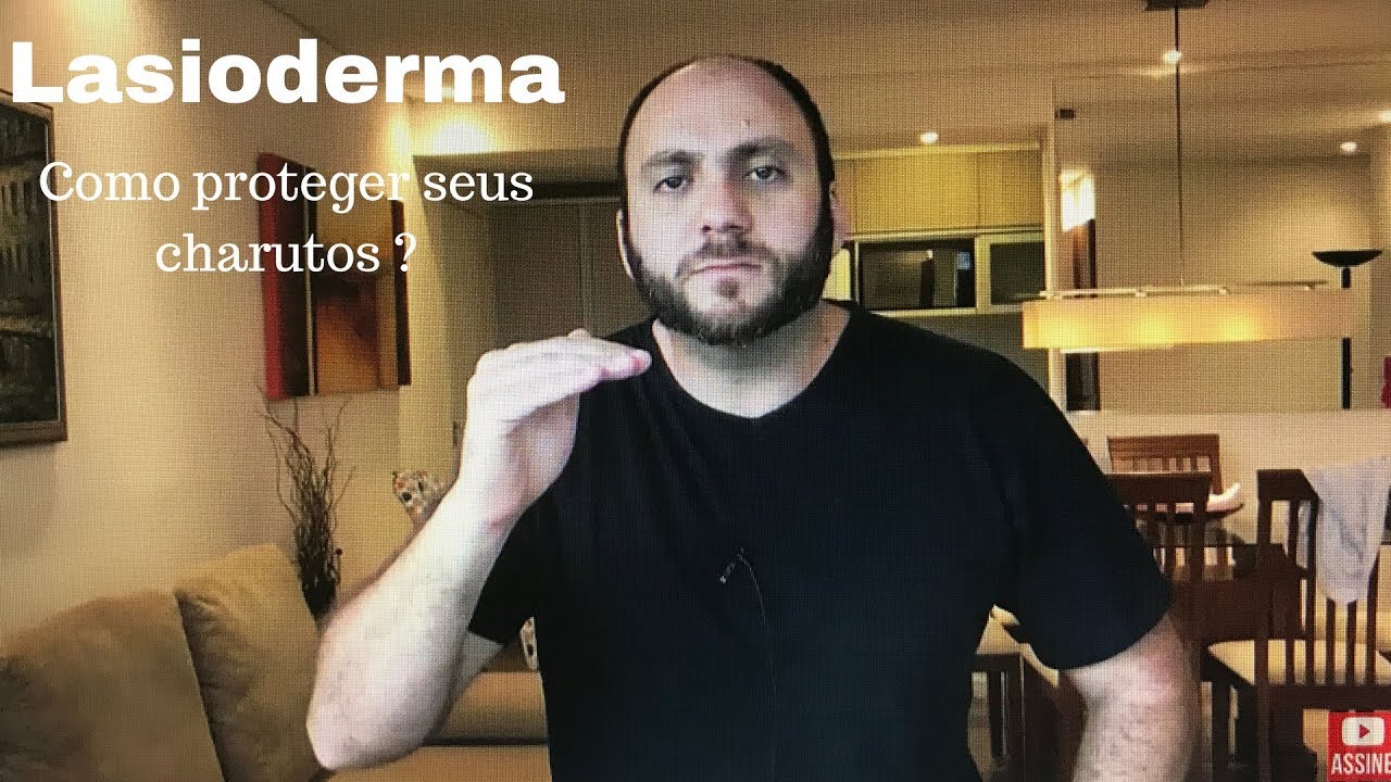 Charuto contaminado com Lasioderma