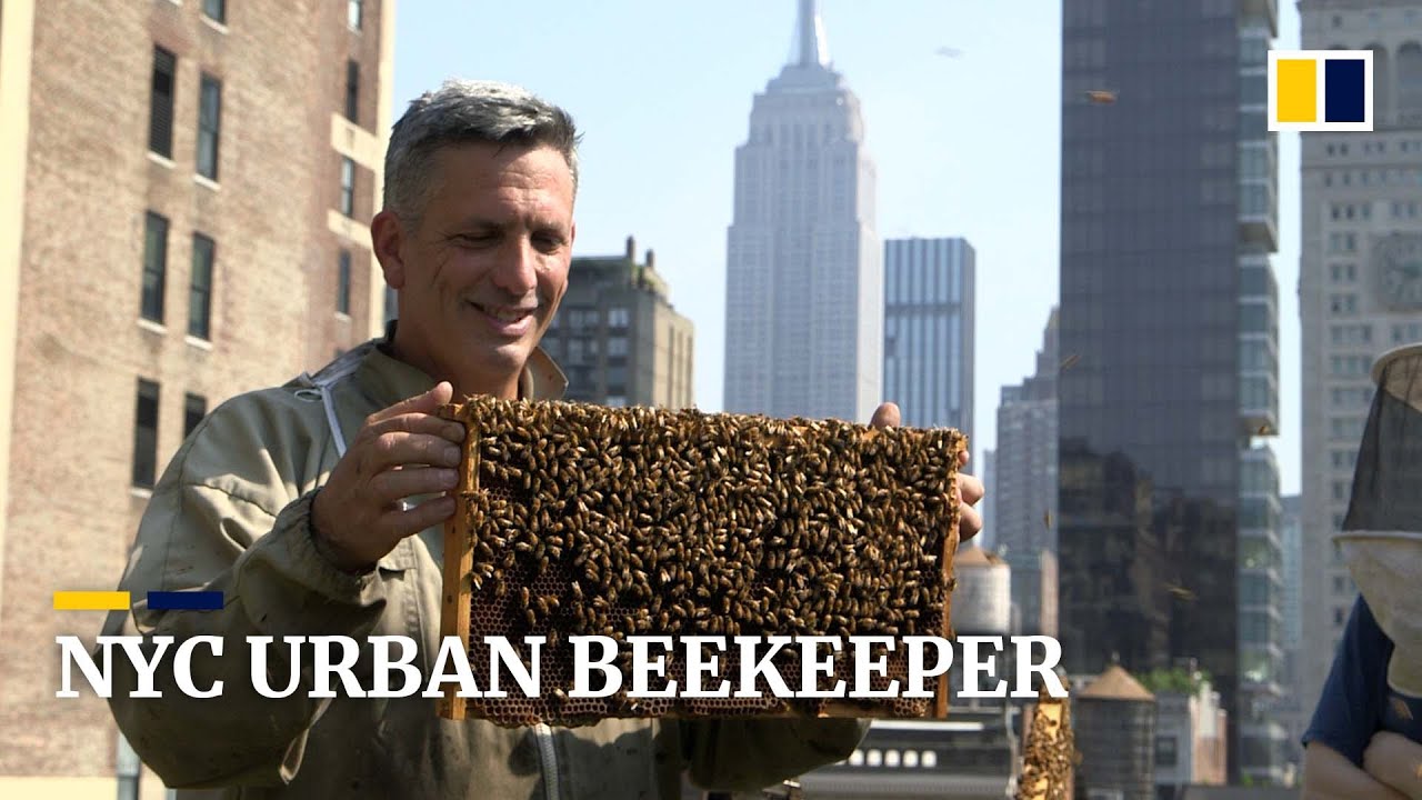 Meet the man with over 100 beehives in the heart of New York City