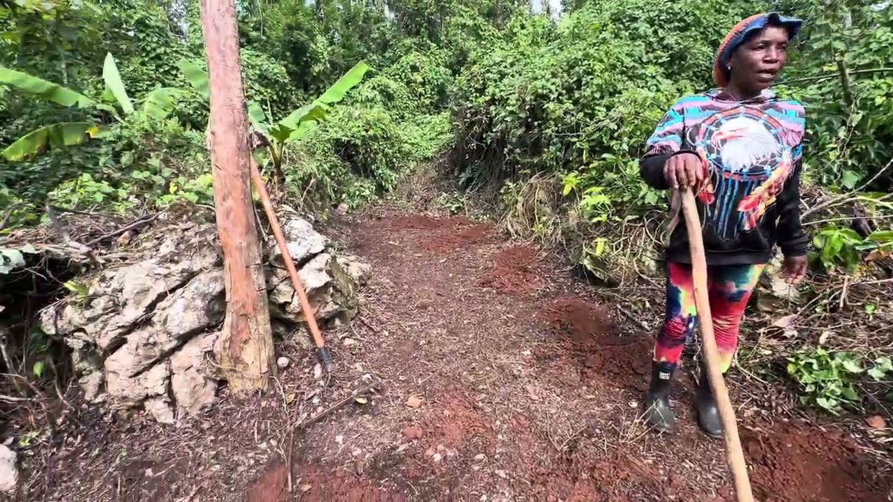 Marva’s Back Yard Farming 💯🇯🇲💚🌹✨✨✨