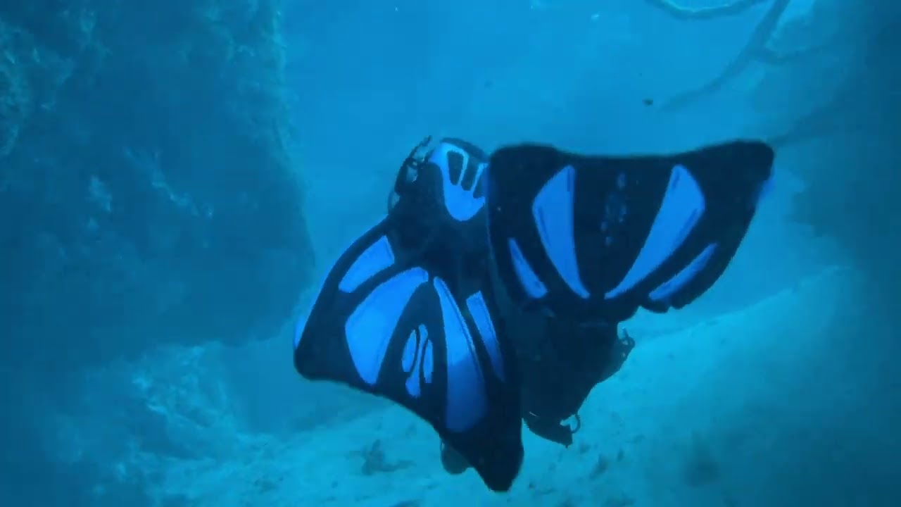Scuba diving in Cozumel Mexico with Leah