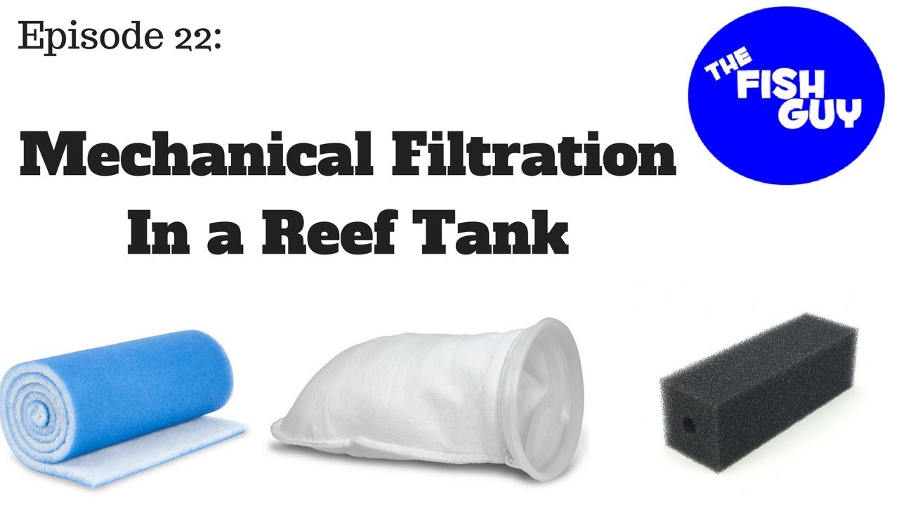 Ep. 22 - Mechanical Filtration In a Reef Tank