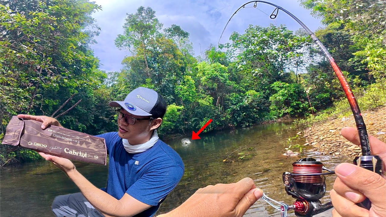 SEGAR DAN ALAMI .!! STREAM FISHING DI SUNGAI TENGAH HUTAN , REVIEW DAN TES DAIDO CABRINI