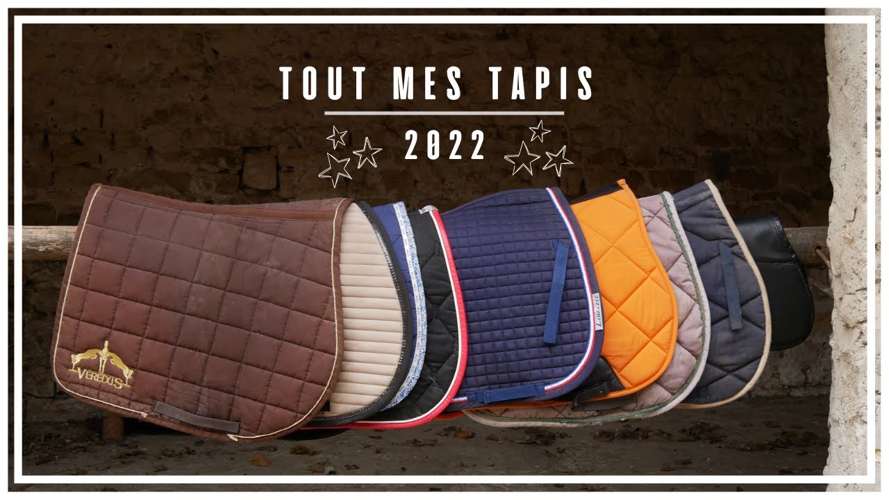 JE VOUS PRESENTE MES TAPIS