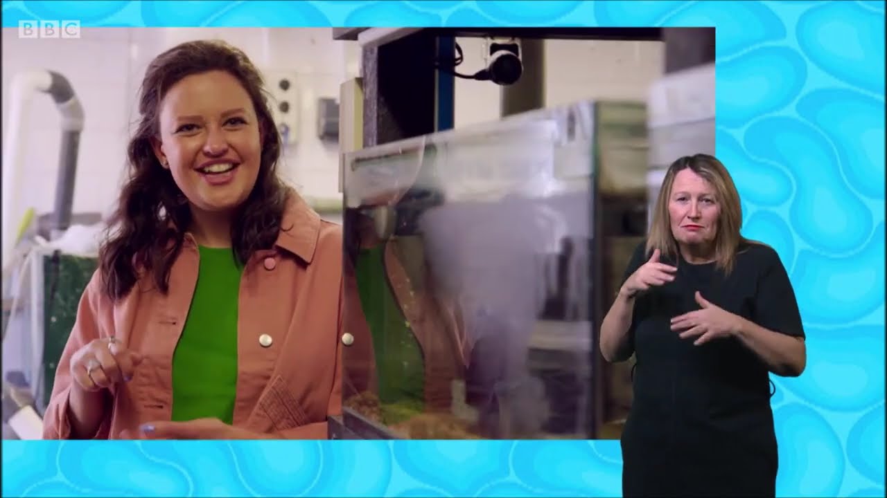 CBeebies | Sign Zone: Ferne and Rory Teeny Tiny Creatures - S01 Episode 3 (Woodlice)