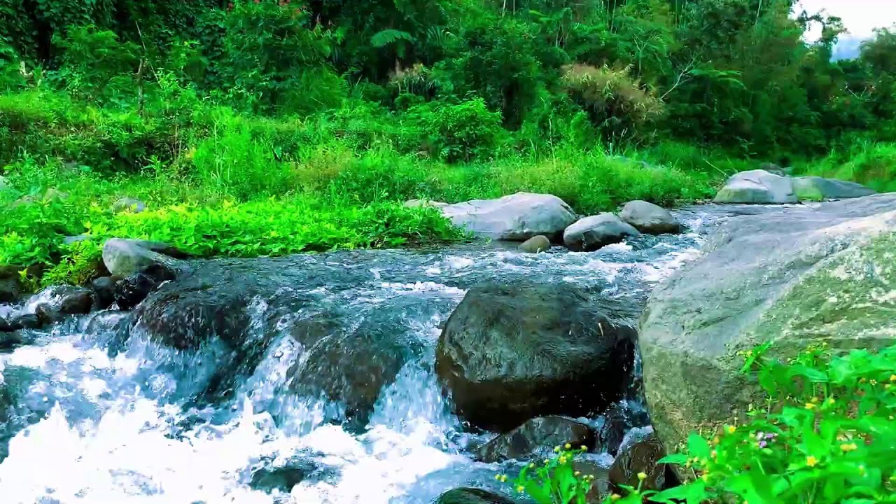 Mountain River for Mental Focus, Tinnitus Relief, Focus