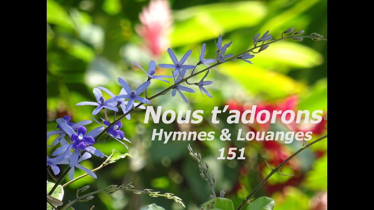 Hymnes & Louanges 151 - Nous t'adorons -  Cover instrumental