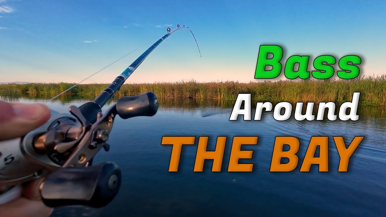 Catching saltwater AND freshwater fish in the San Francisco Bay Area