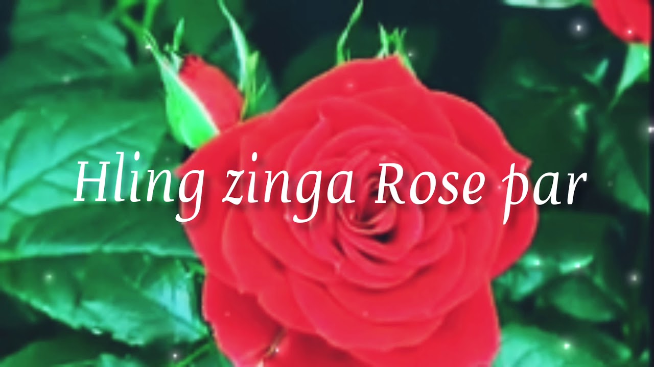 K Lalthlamuankimi//Hling zinga Rose par//OFFICAL MUSIC(  DUATI)Channel
