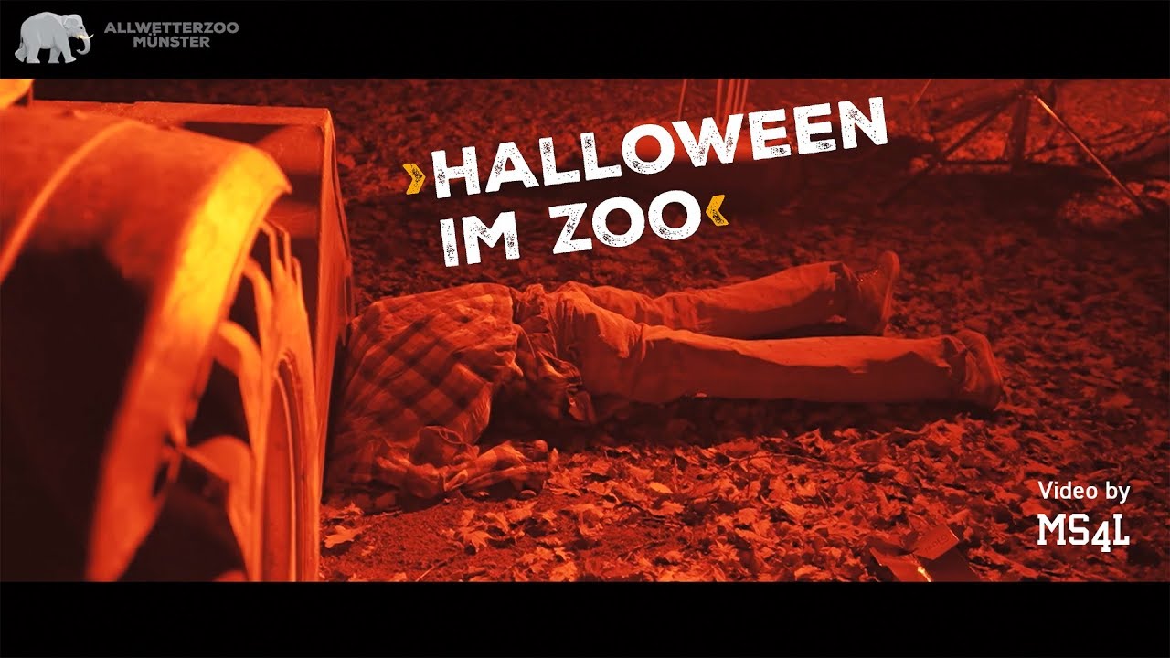 Halloween im Allwetterzoo Münster