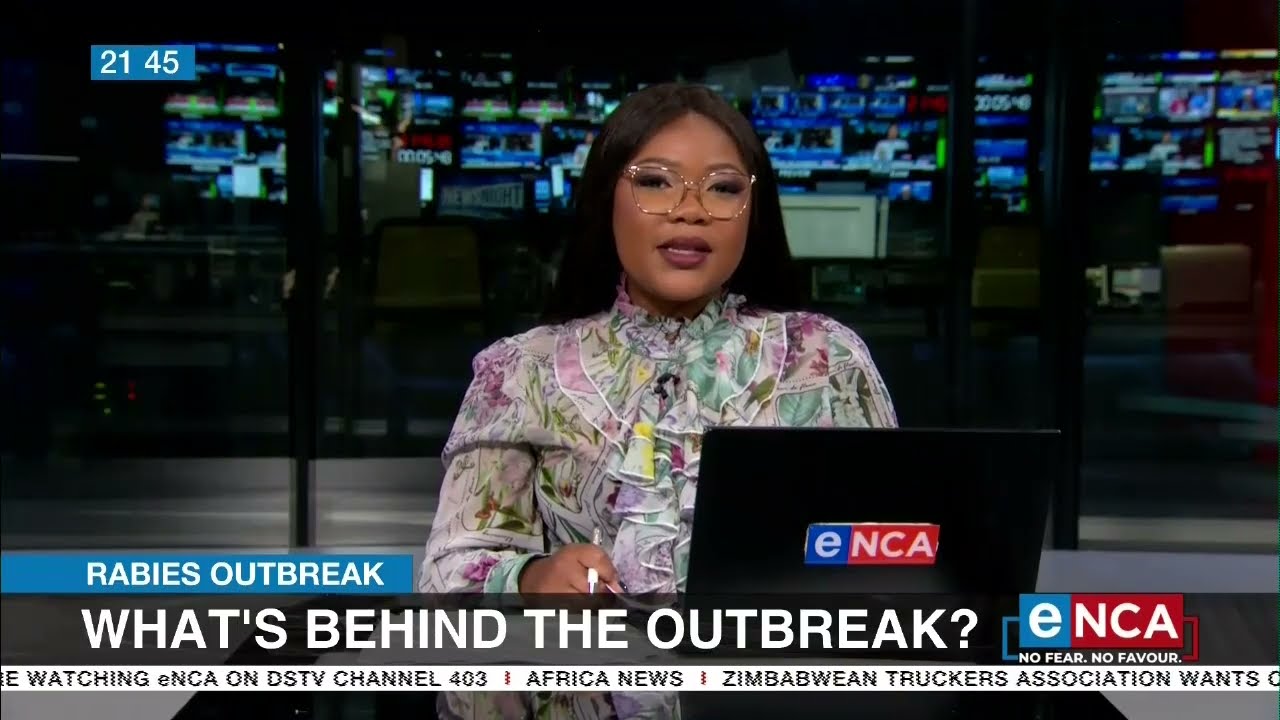 What's behind the rabies outbreak?