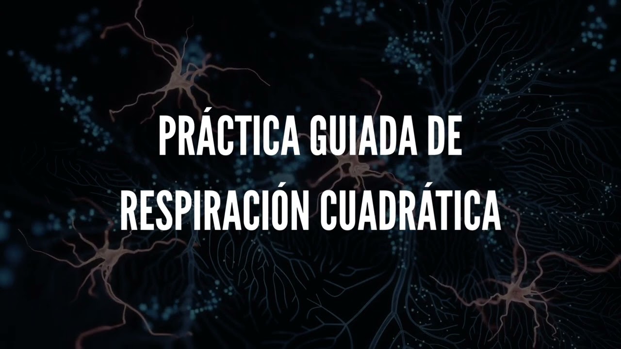 Respira y calma tu mente en 5 minutos 