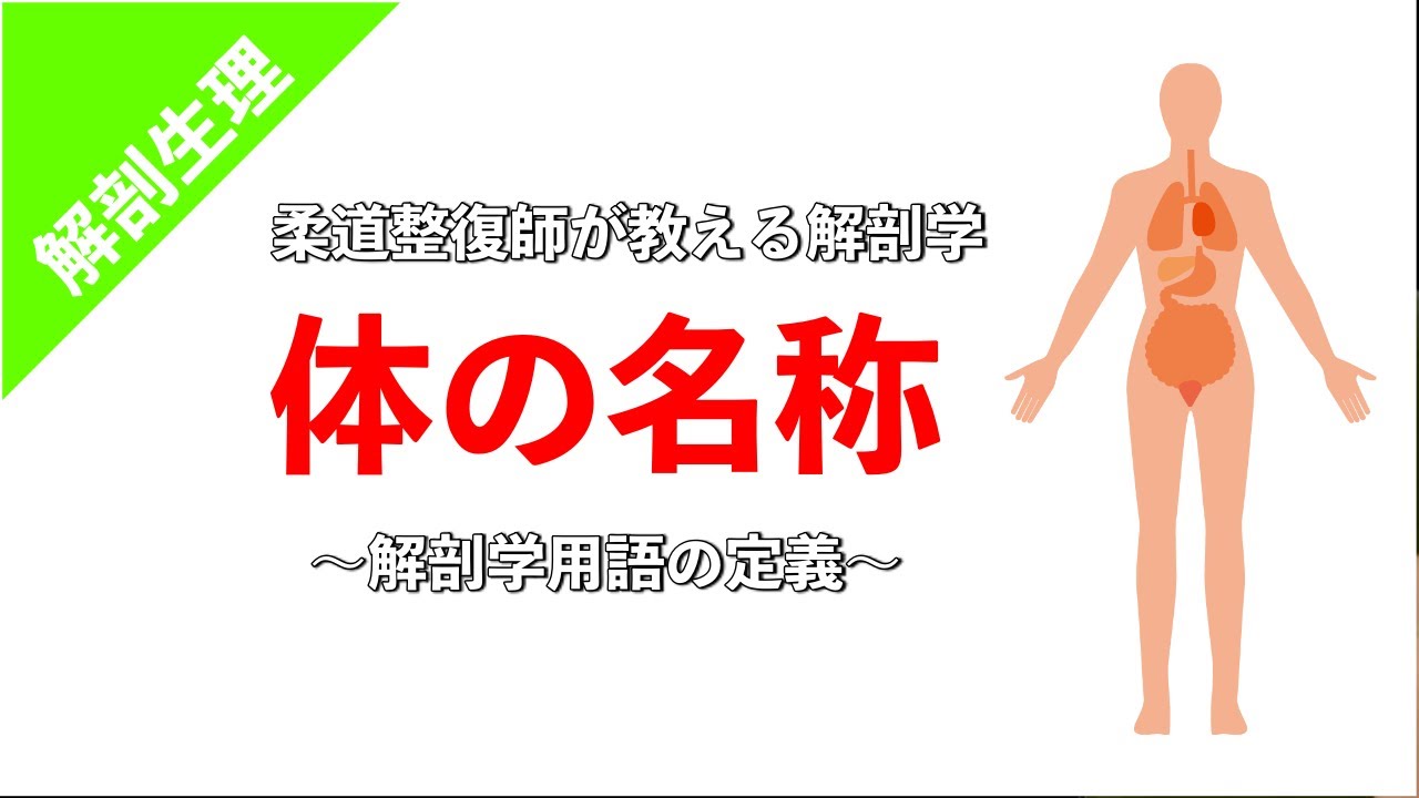 【柔道整復師が教える解剖学】解剖学の基本〜必ず知っておくべき体の名称と位置の表し方〜【タロ塾#1】