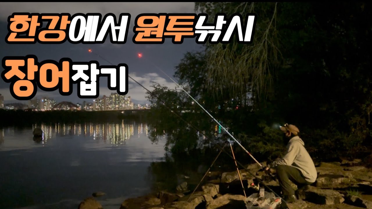 한강에서 장어를 잡았다?