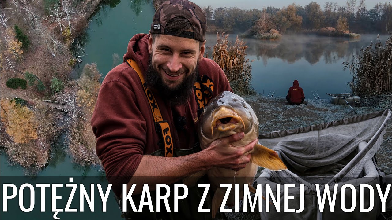 WĘDKARSTWO KARPIOWE UCZY CIERPLIWOŚCI | ŁOWISKO STARY STAW