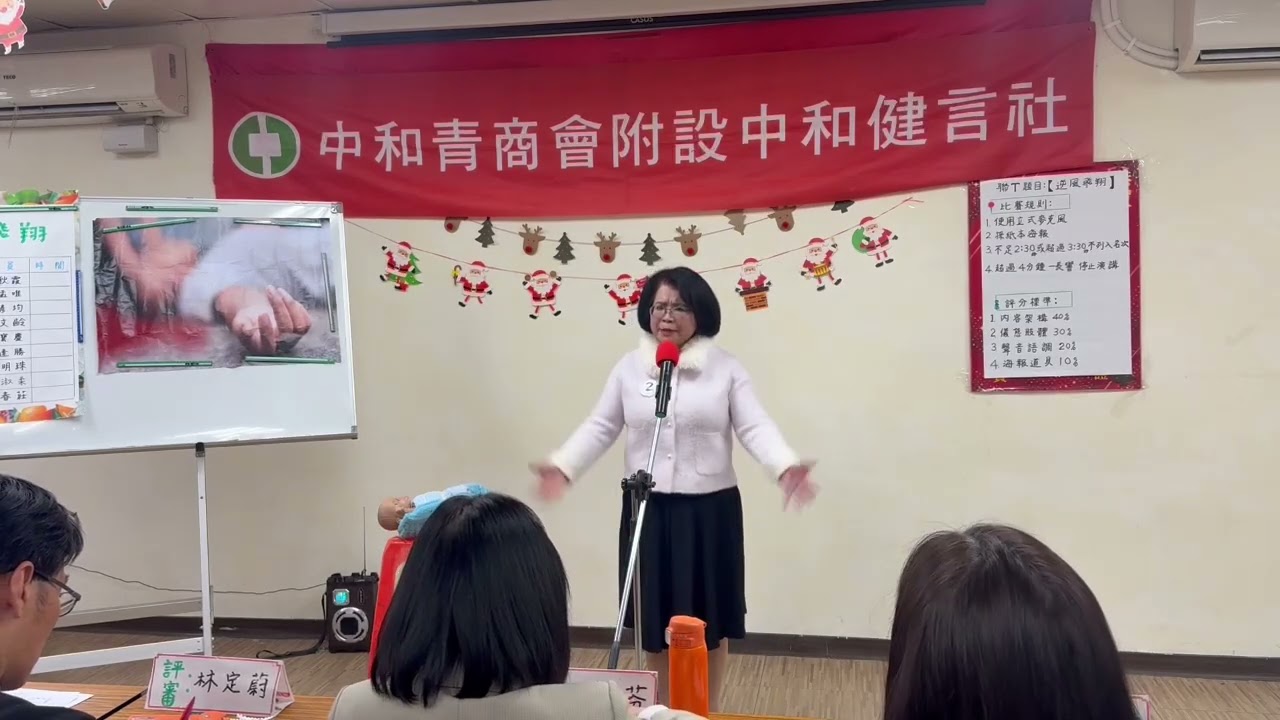 逆風飛翔-林麗蘭