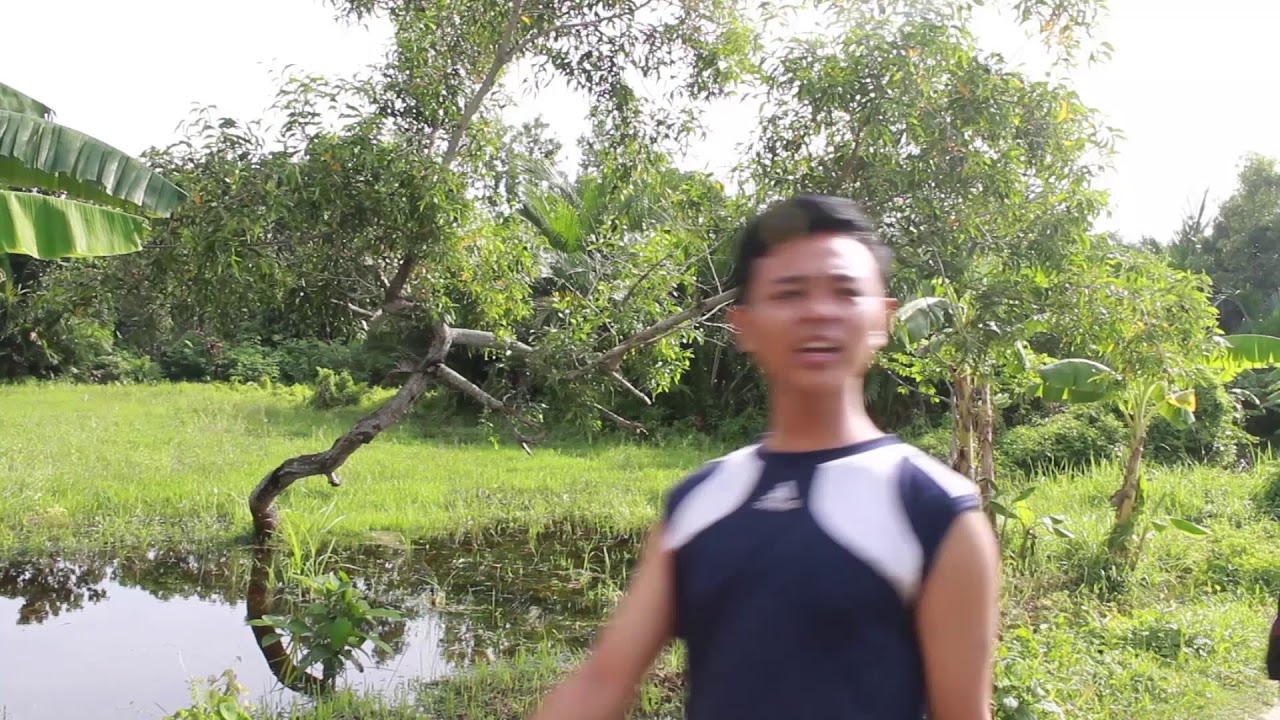 VIDEO PROFIL DESA PLAKARAN #KKNUTMGASAL2019