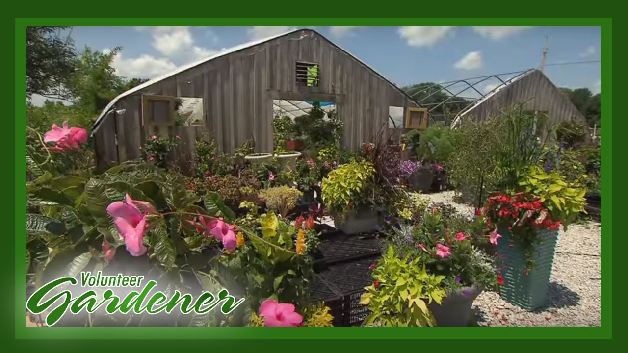 Rita's Rare Plants | Volunteer Gardener