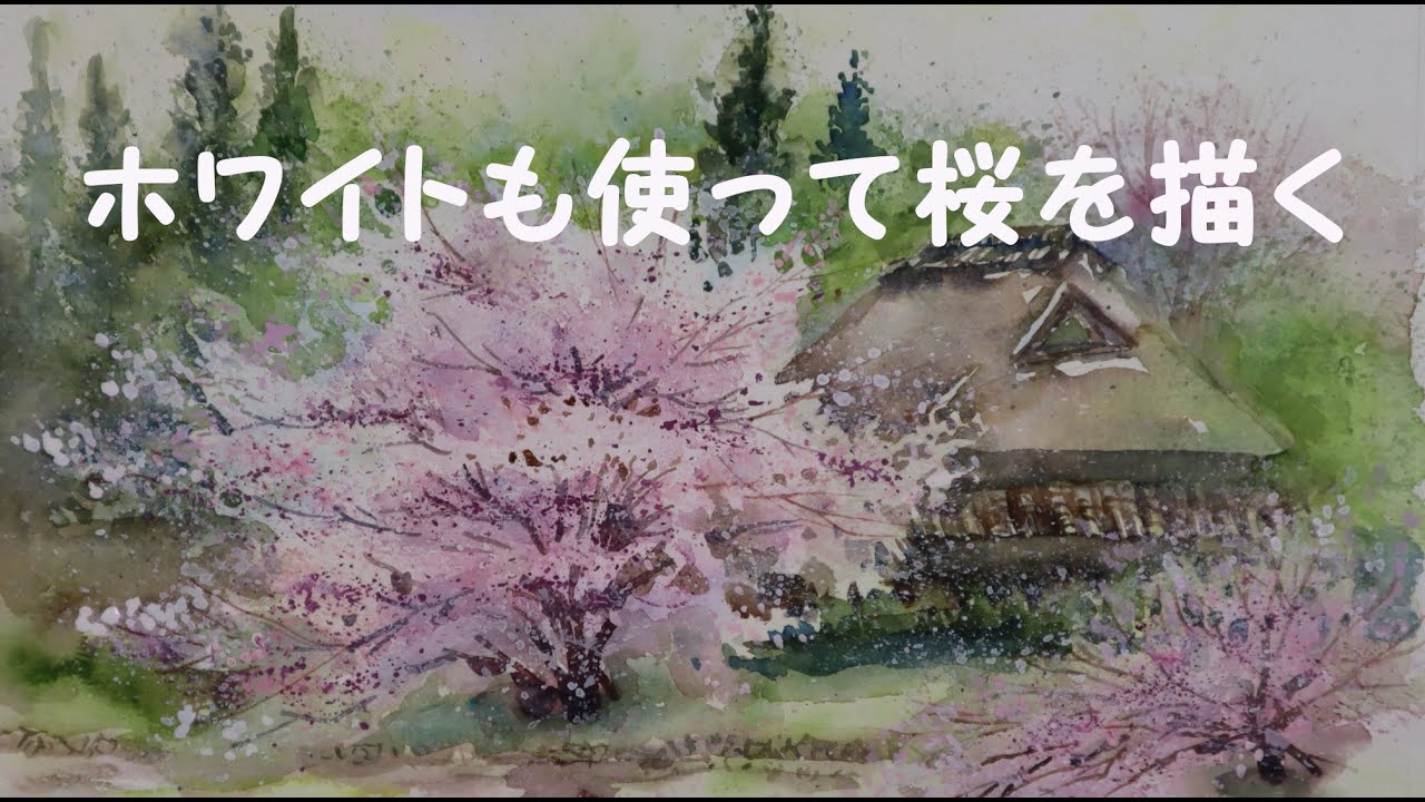 【透明水彩画】ホワイトも使って桜を描く