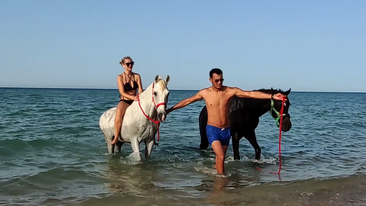 ЛОШАДИ НА ПРОКАТ В ХУРГАДЕ🏇Прогулка на море на лошадях.Где отдохнуть в Хургаде🌴