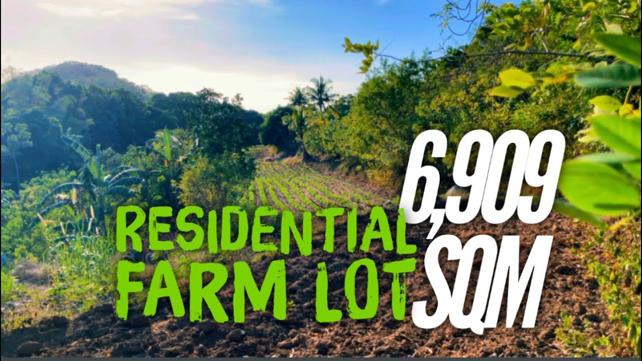 FOR SALE • Nasugbu, Batangas 6,909 SQM Residential Farm Lot | Nasugbu, Batangas @nov9tv
