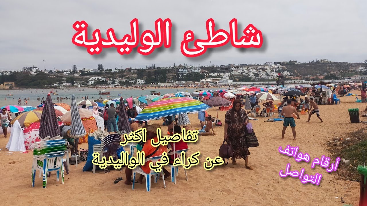 كراء في الوليدية: تفاصيل اكثر/ارقام مكلفين بالكراء و الاثمنة و المعلومات على les huîtres