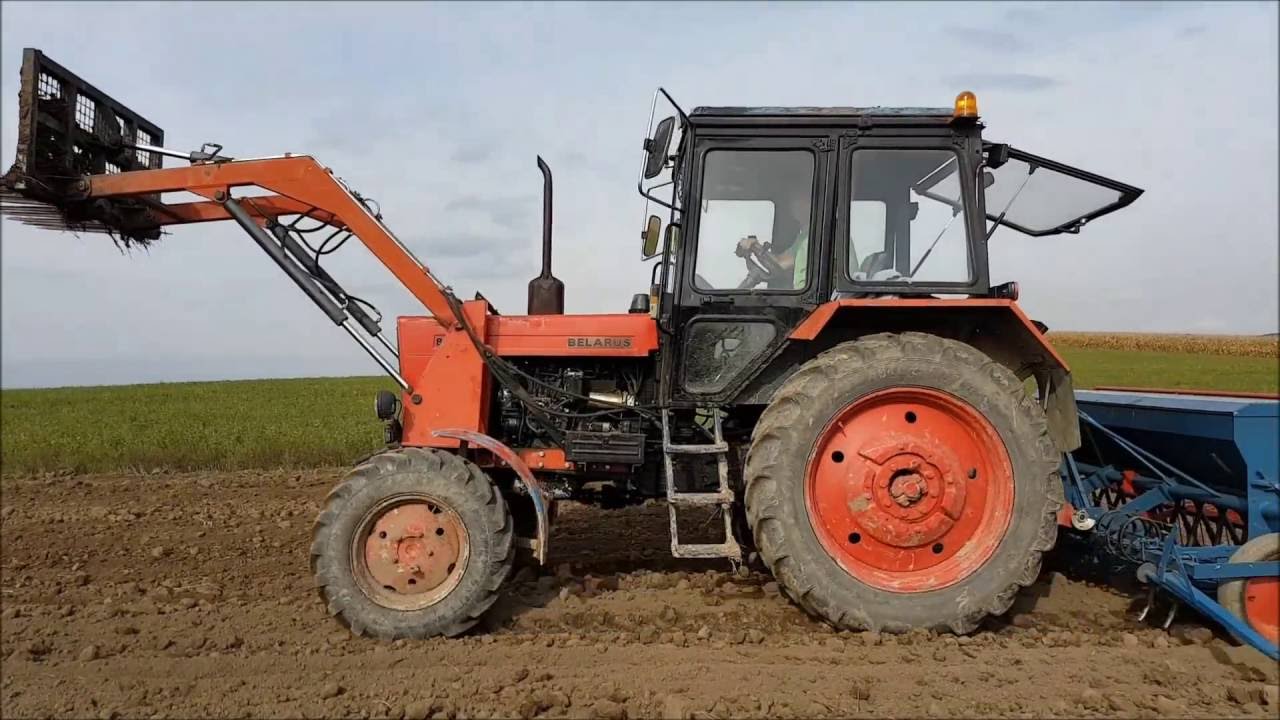 Bors&oacute; vet&eacute;s - sowing of peas