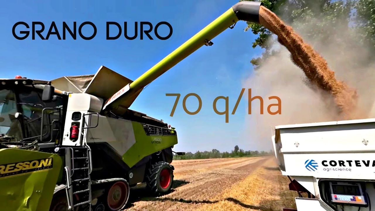 GRANO DURO da RECORD