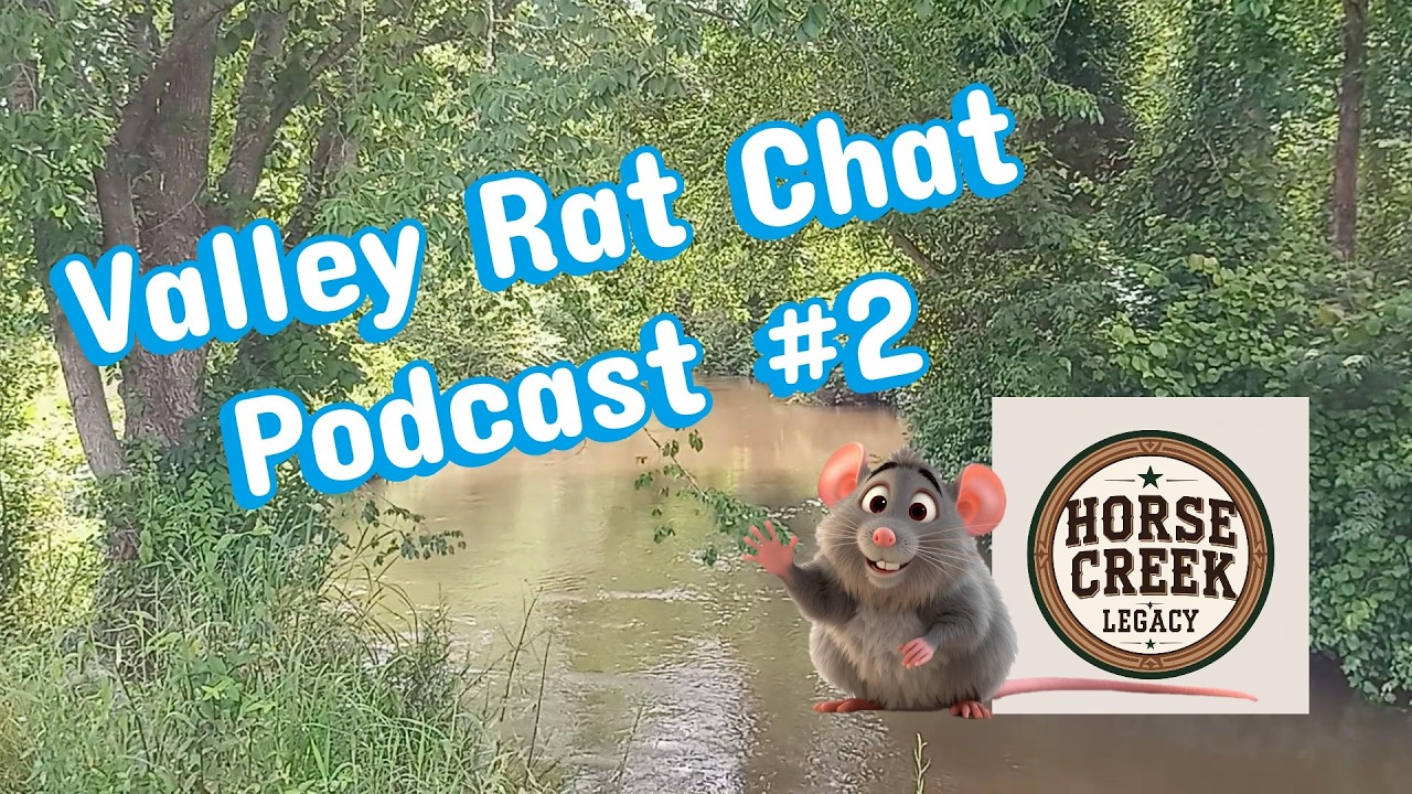 Valley Rat Chat, Podcast #2; LMMS