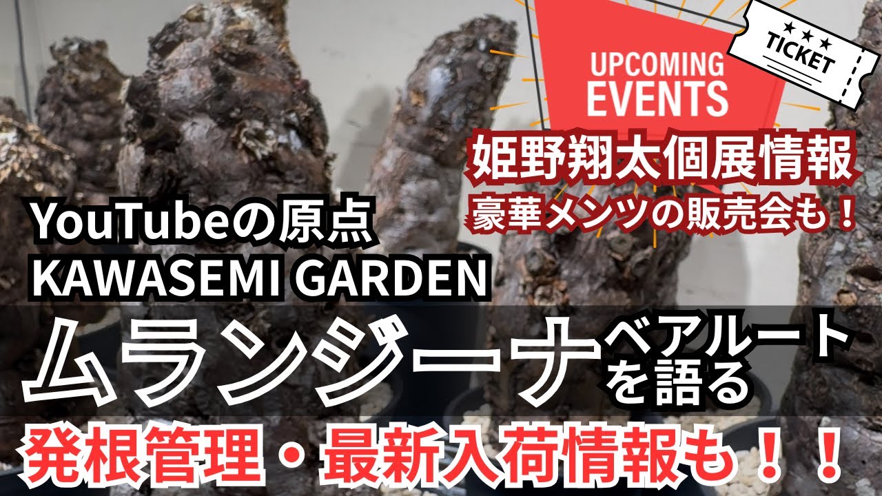 vol.19【禁断の扉再び】ムランジーナベアルートを語る！最新入荷やイベント情報も盛りだくさん！