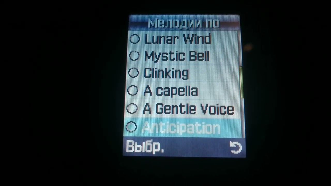 Samsung SGH-X650 Ringtones and SMS notifications
