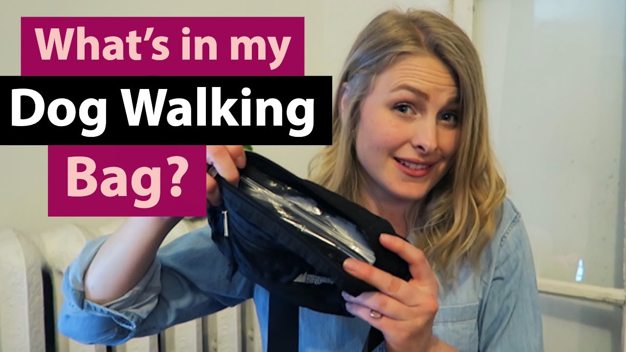 What's in my DOG WALKING bag?