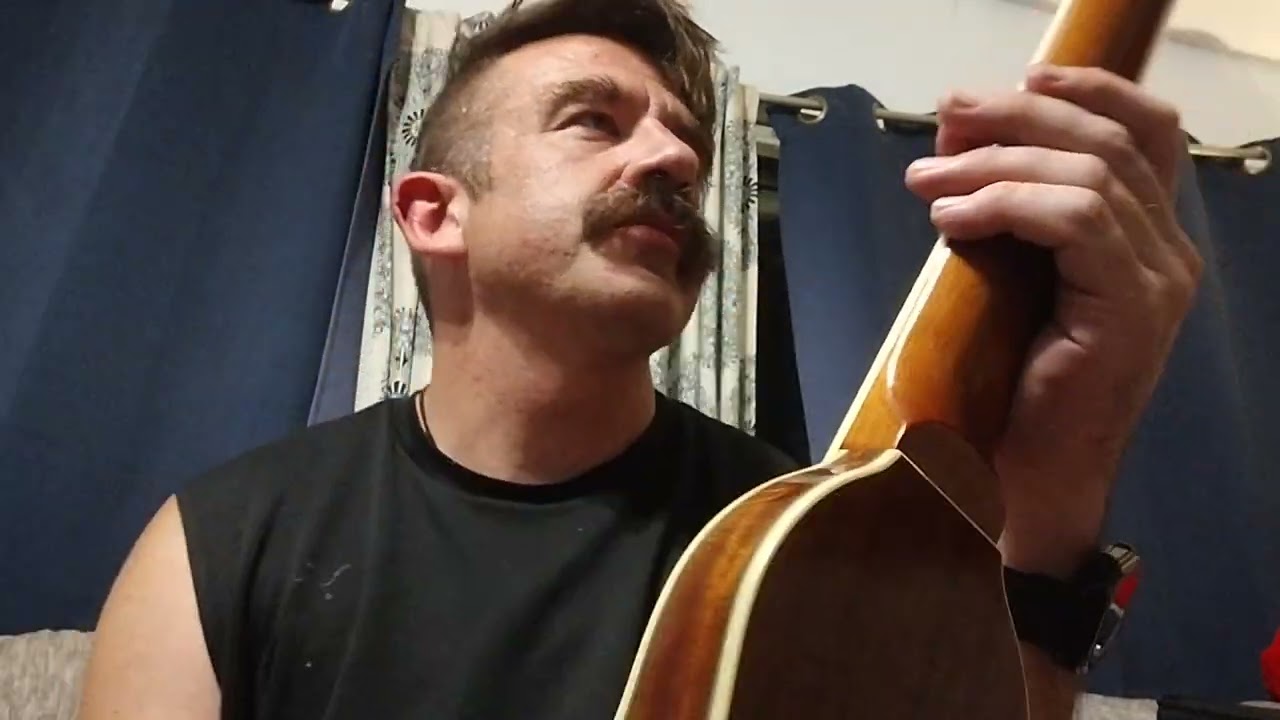 guitar review: Washburn Rover