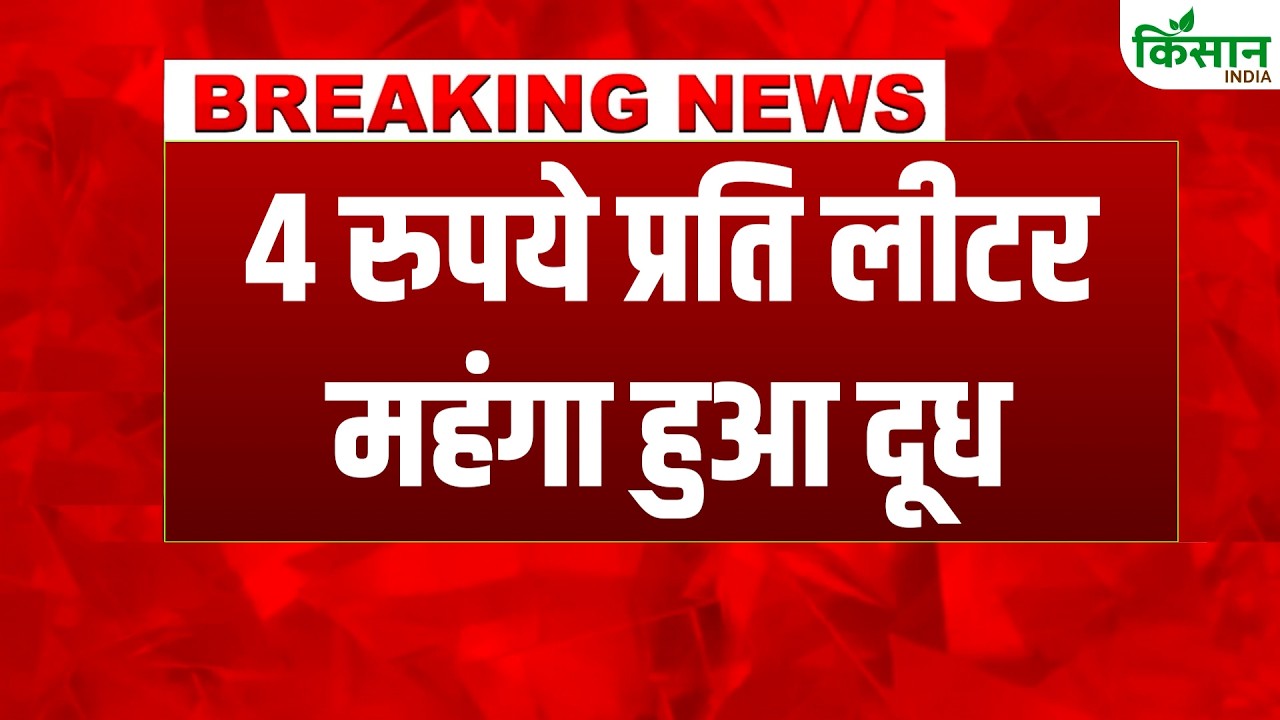 Milk Price Hike: Milk prices rise, everything from toned to gold becomes costlier by ₹4 | OMFED M...