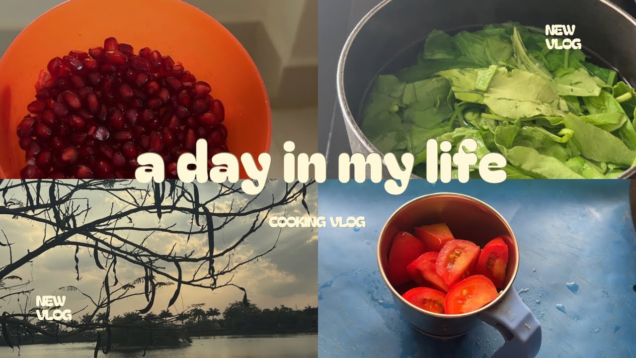 Today’s Vlog: Homemade Palak Curry