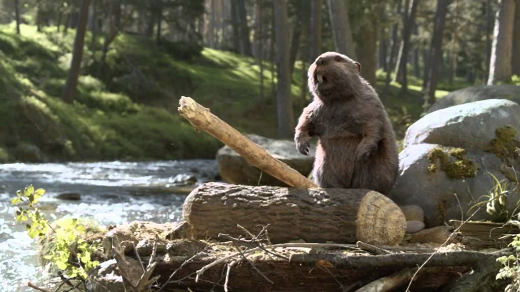 Chaudfontaine reclame bevers (Belgische tv-spot)