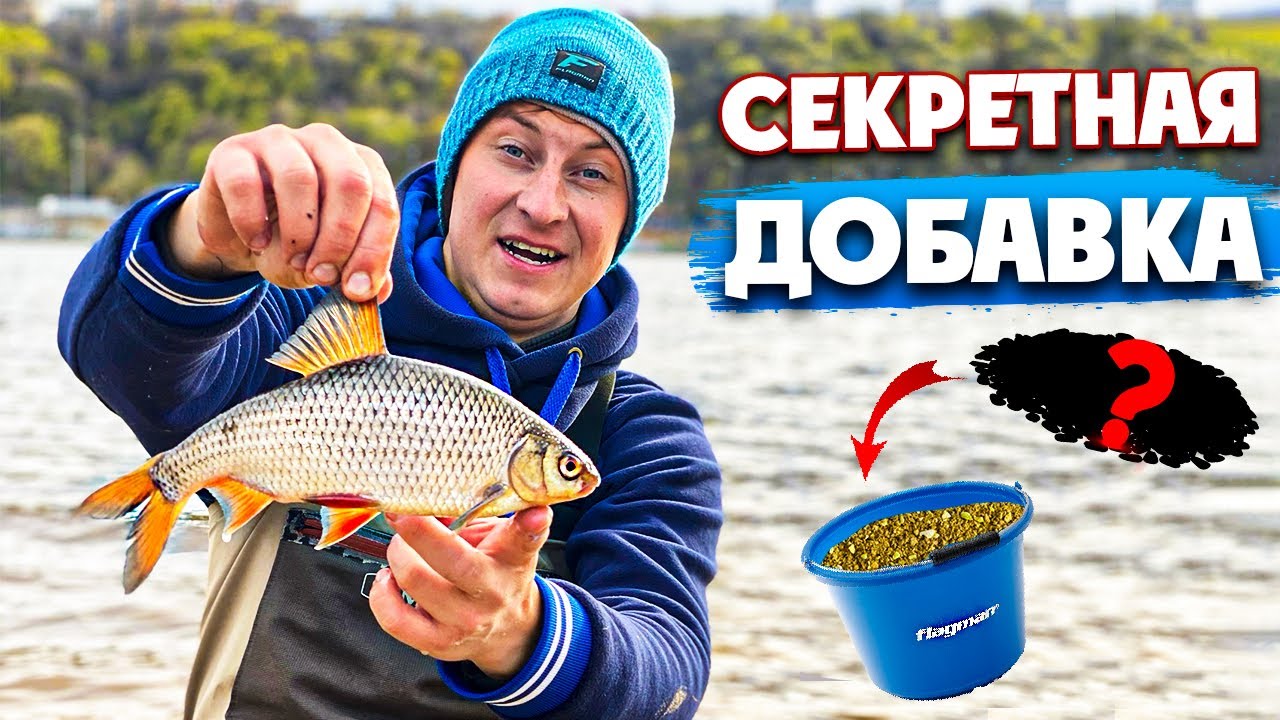 🔥 Фидерная Рыбалка против Правил! Плотва, густера на кукурузу! Нестандартная рыбалка на Днепре