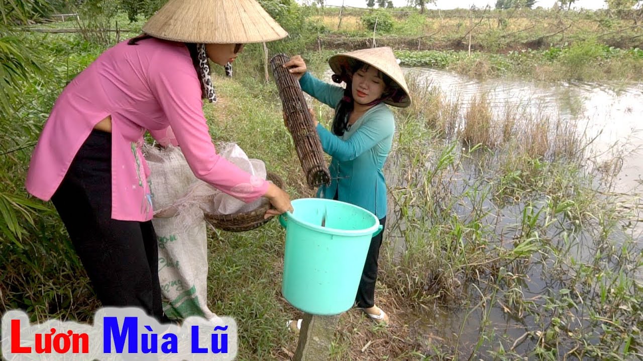 Đặt Trúm Lươn Đồng Mùa Nước Nổi Thật Bất Ngờ - Lẩu Lươn Đồng Trái Giác Ngon Lành Ra Sao #180