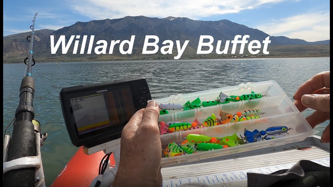 Willard Bay Buffet