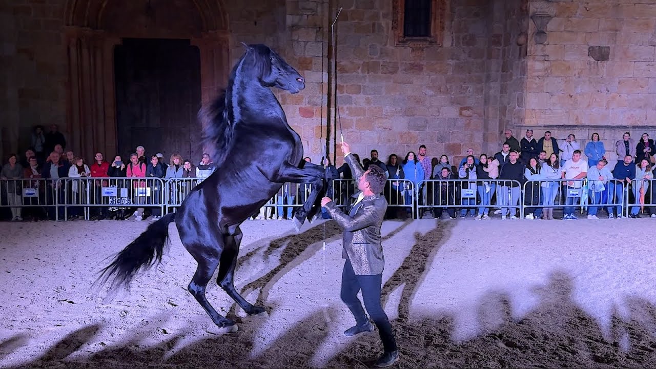 As San Lucas 2025 - Impresionante doma nocturna en Mondoñedo: pura conexión entre jinete y caballo