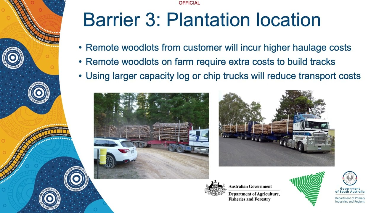 Enhancing commercial viability of plantation trees
