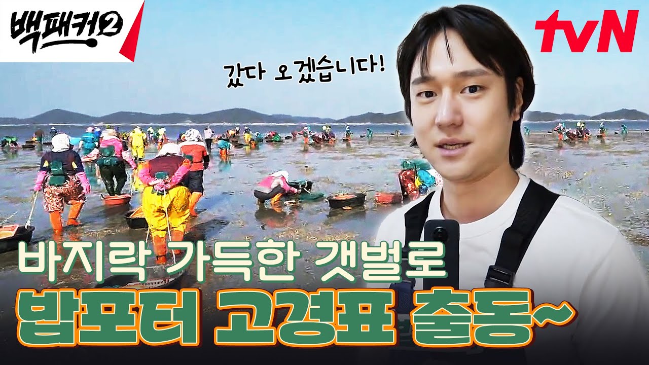 매서운 바닷바람에 혼자만 반팔? 고경표의 짠 내 나는 '바지락' 캐기💦 #백패커2 EP.1 | tvN 240526 방송
