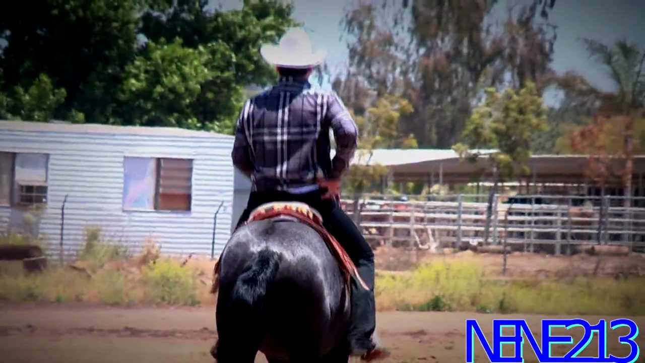 Arley Perez - Caballo De Acero - (2013)