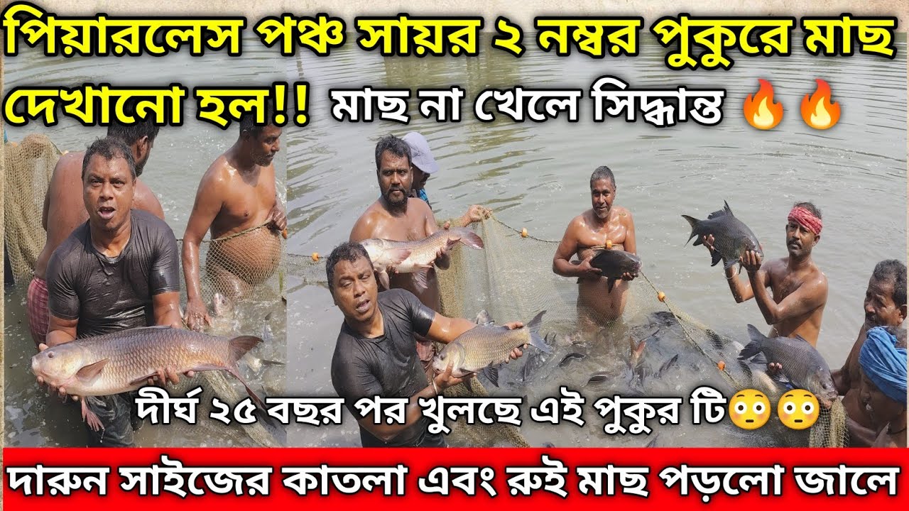 স্ট্যান্ডার্ড সাইজের দারুন রুই এবং কাতলা মাছ জালে পড়লো|Fishing Club Barrackpore 