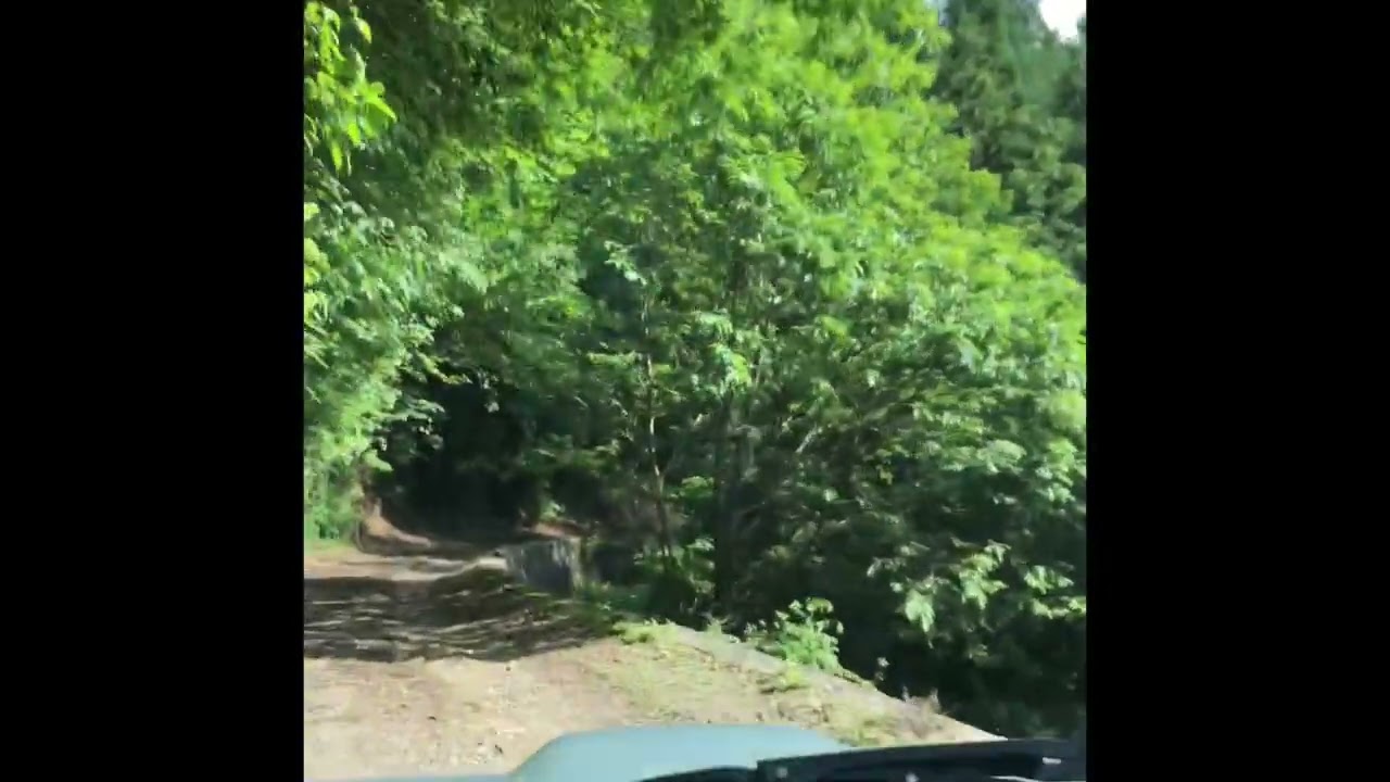 八丁林道2023年6月16日撮影