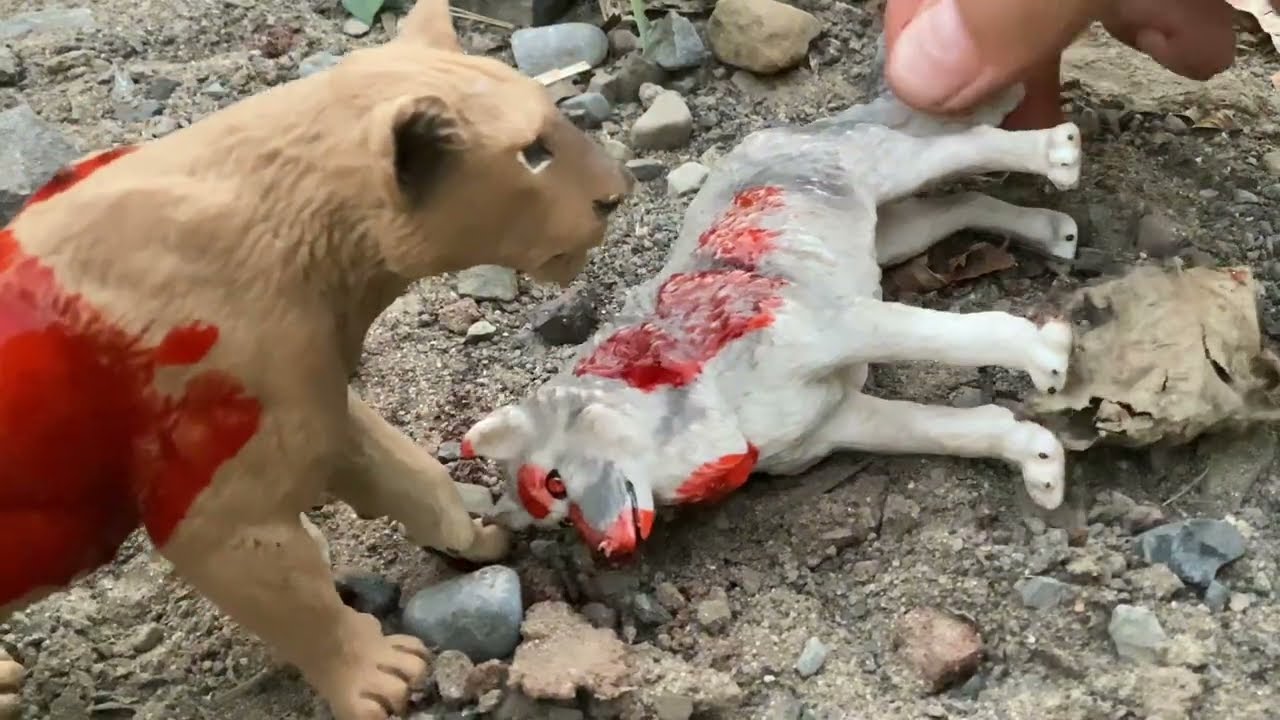 The arctic pack eps 1 season 1 (a toy wolf/dog series)￼