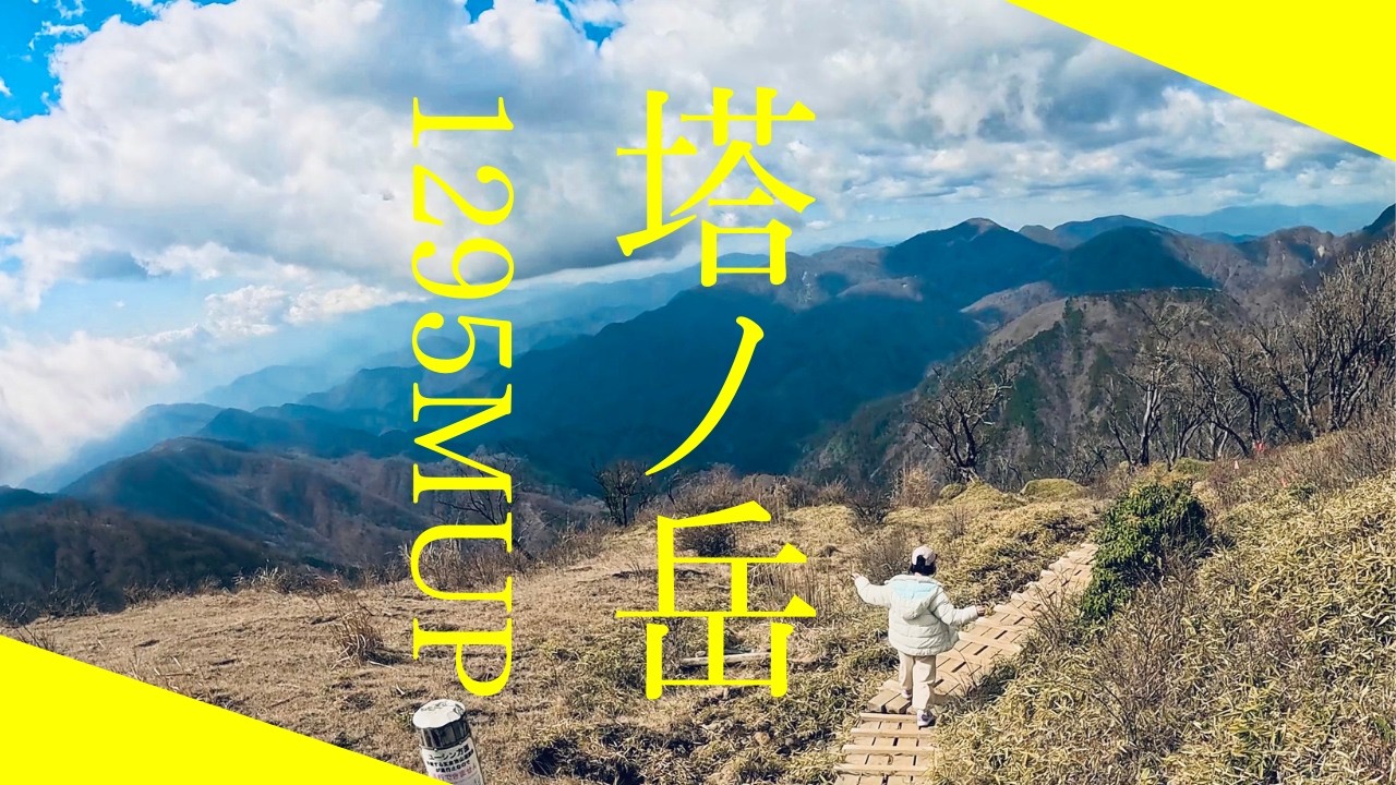 【塔ノ岳】果たして子供は塔ノ岳登れるのか？大倉尾根から挑戦。