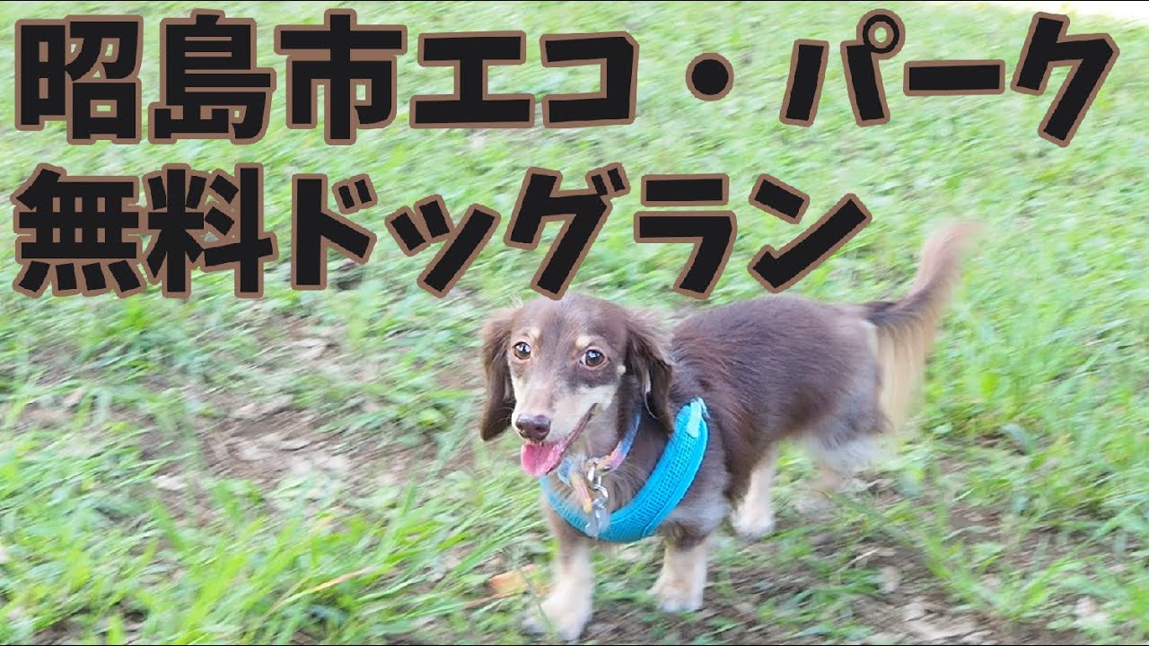 【無料ドッグラン】東京都　昭島市エコ・パーク